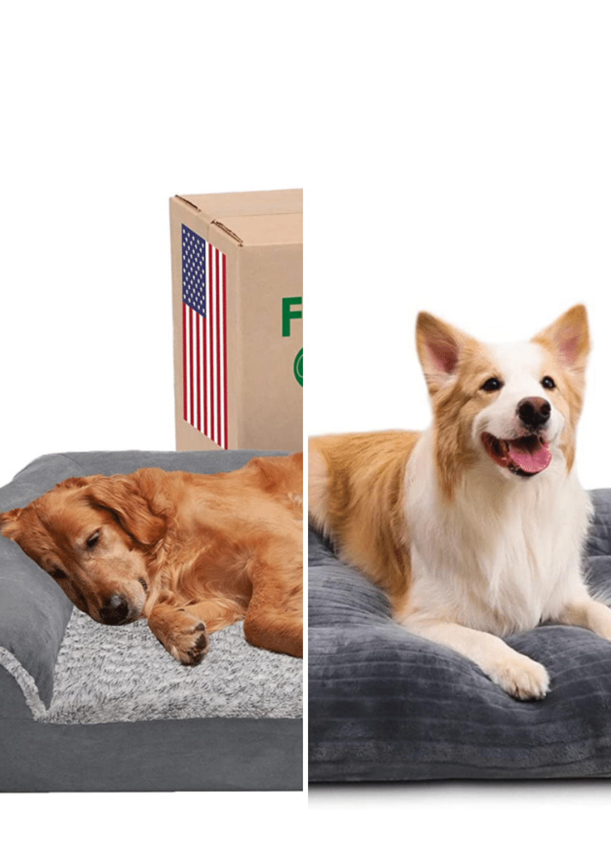 Snoozing in Style: Our Top 5 Picks for Furniture-Style Dog Crates!