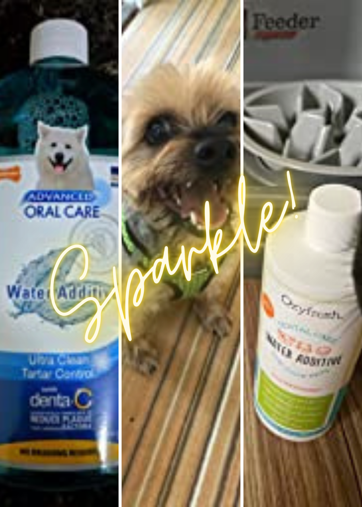 5 Best Pet Leave-in Conditioners: Keep Your Furball's Coat Shiny and Soft!