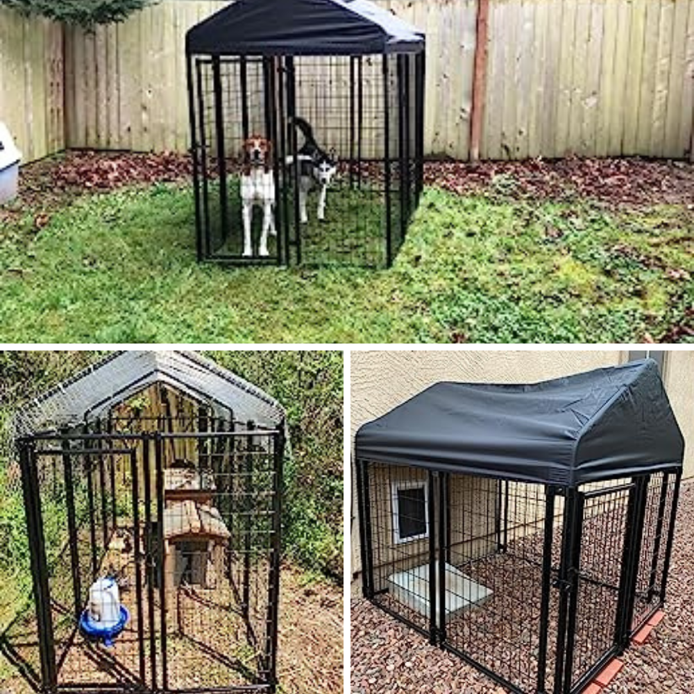 4 Outdoor Dog Kennels Tested: Which One Will Provide Your Pooch With Secure Space?