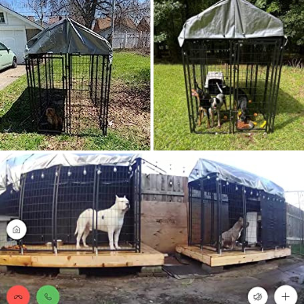 4 Outdoor Dog Kennels Tested: Which One Will Provide Your Pooch With Secure Space?