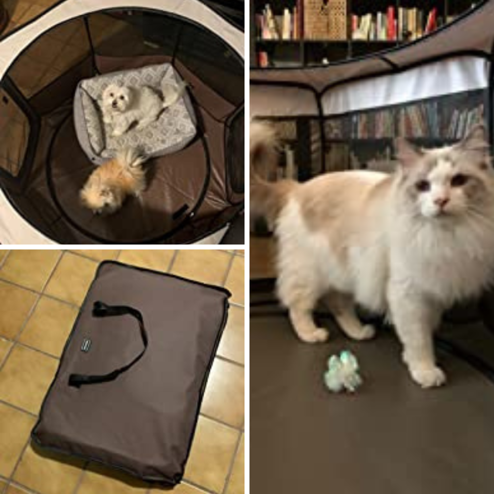 8 Portable Pet Playpens: Which One Will Be Your Furry Friend's Favorite?