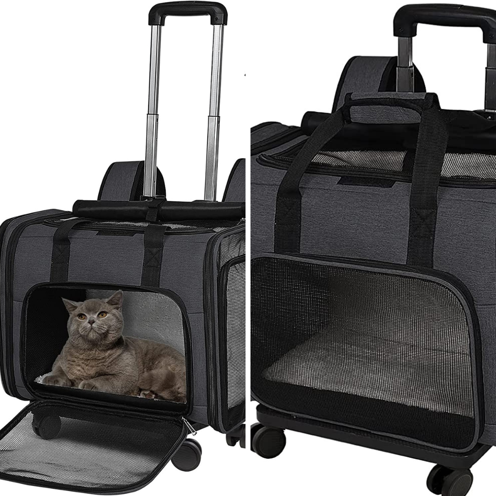 6 Airplane Pet Carriers With Wheels: Which One Will Get Your Fur Baby To Their Destination In Style?