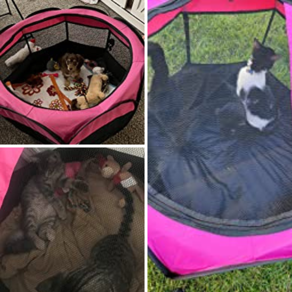 8 Portable Pet Playpens: Which One Will Be Your Furry Friend's Favorite?