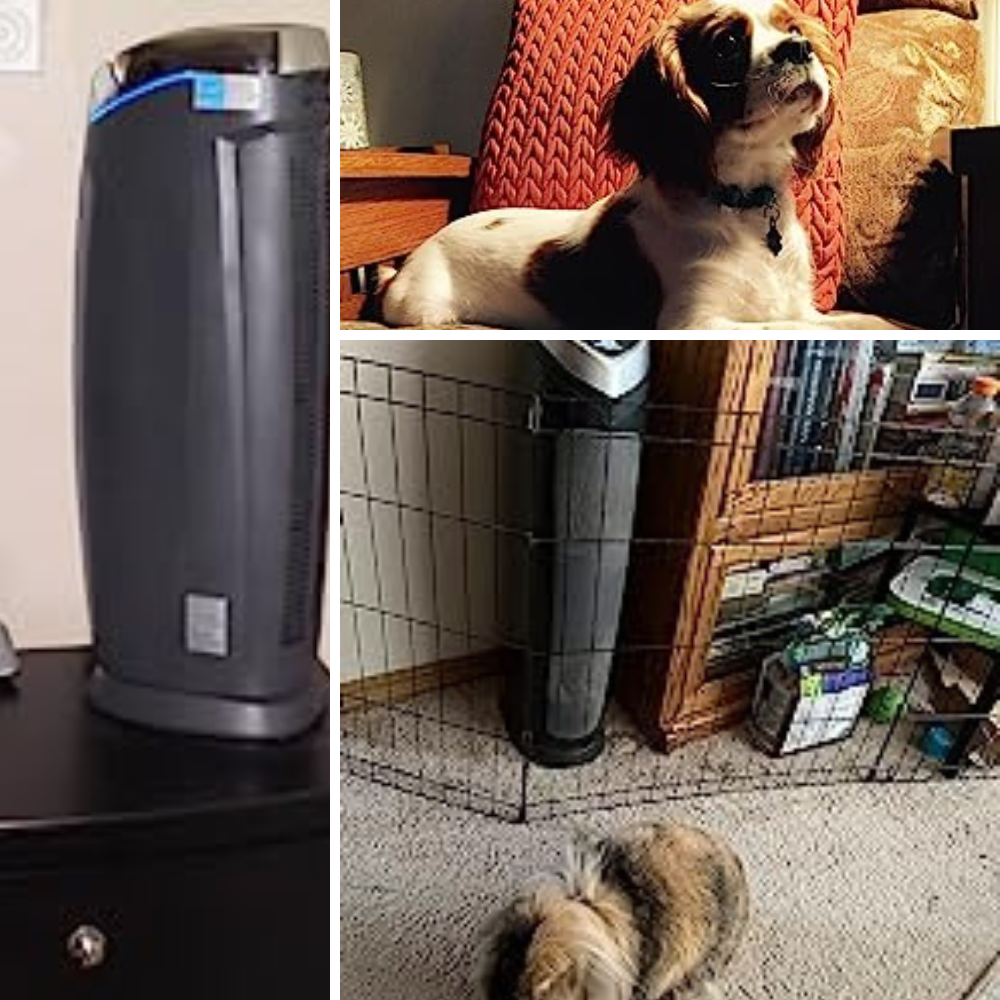 6 of the Best Air Purifiers for Pet Hair Removal: Purified Breath of Fresh Fur!