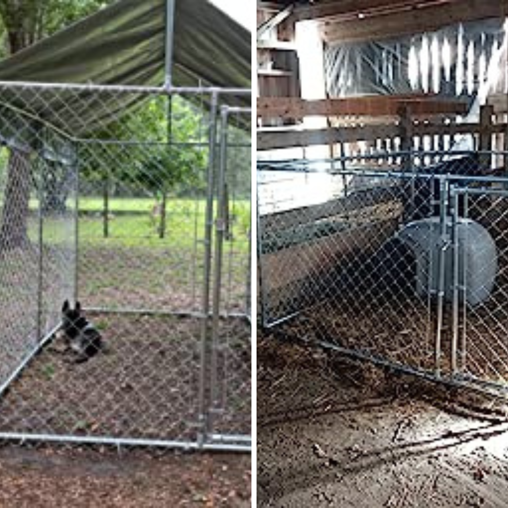 4 Outdoor Dog Kennels Tested: Which One Will Provide Your Pooch With Secure Space?