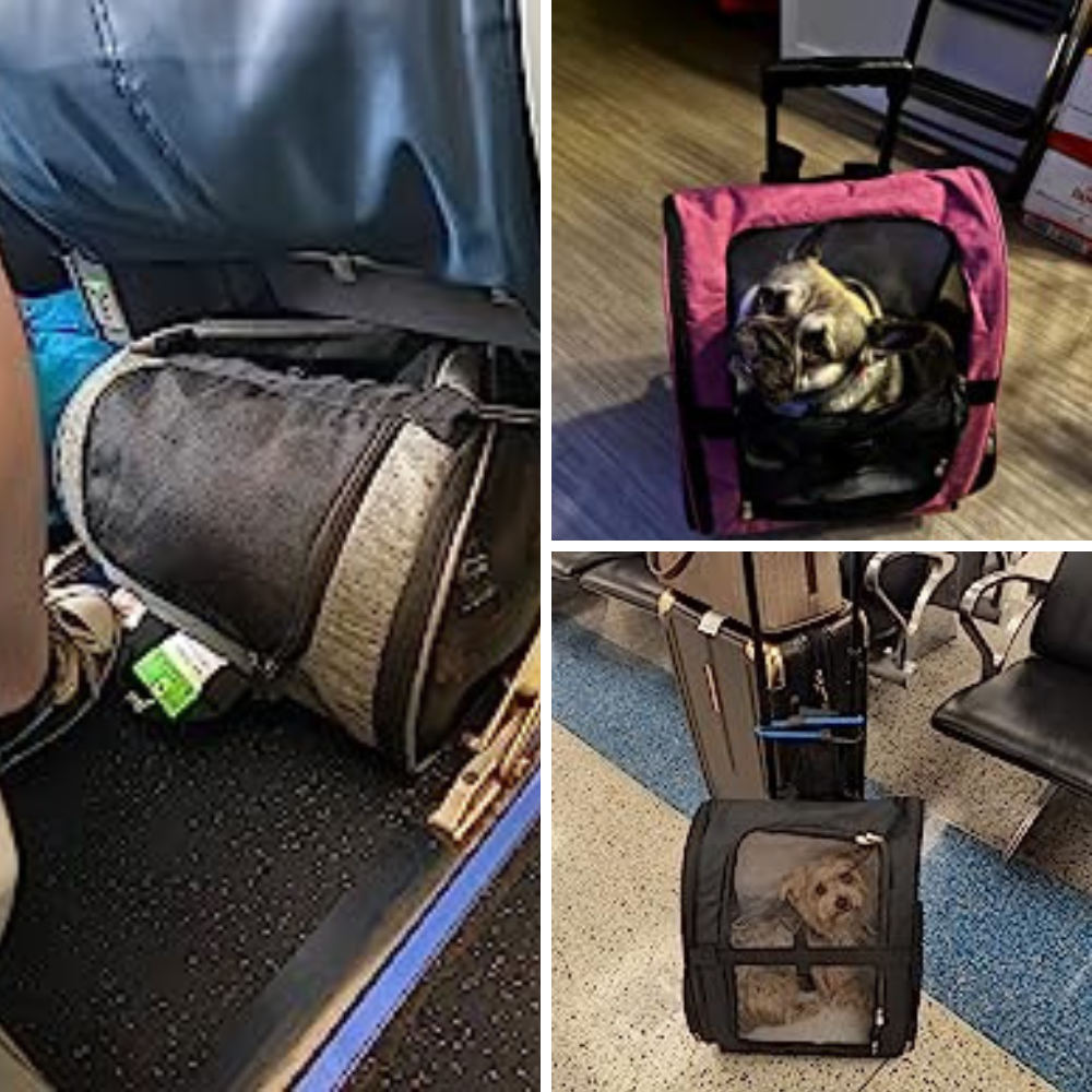 6 Airplane Pet Carriers With Wheels: Which One Will Get Your Fur Baby To Their Destination In Style?