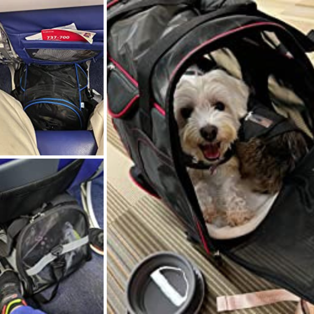 6 Airplane Pet Carriers With Wheels: Which One Will Get Your Fur Baby To Their Destination In Style?