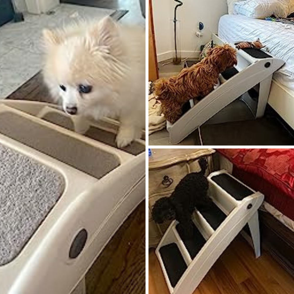 Best 5 Pet Stairs That Will Give Small Dogs a Leg Up!