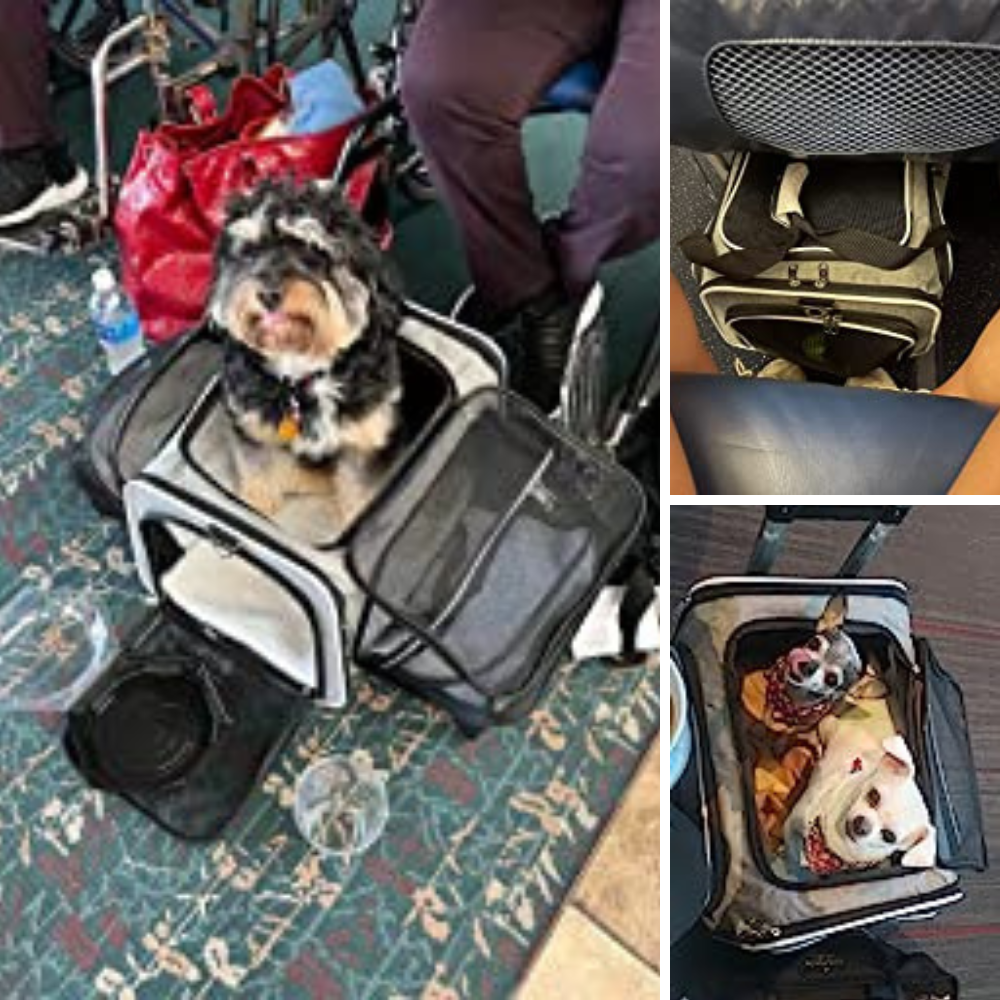 6 Airplane Pet Carriers With Wheels: Which One Will Get Your Fur Baby To Their Destination In Style?