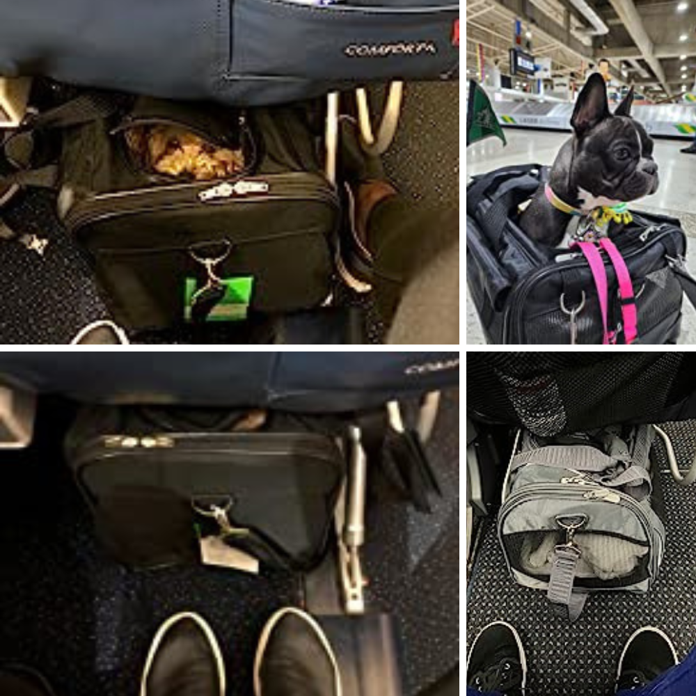 6 Airplane Pet Carriers With Wheels: Which One Will Get Your Fur Baby To Their Destination In Style?