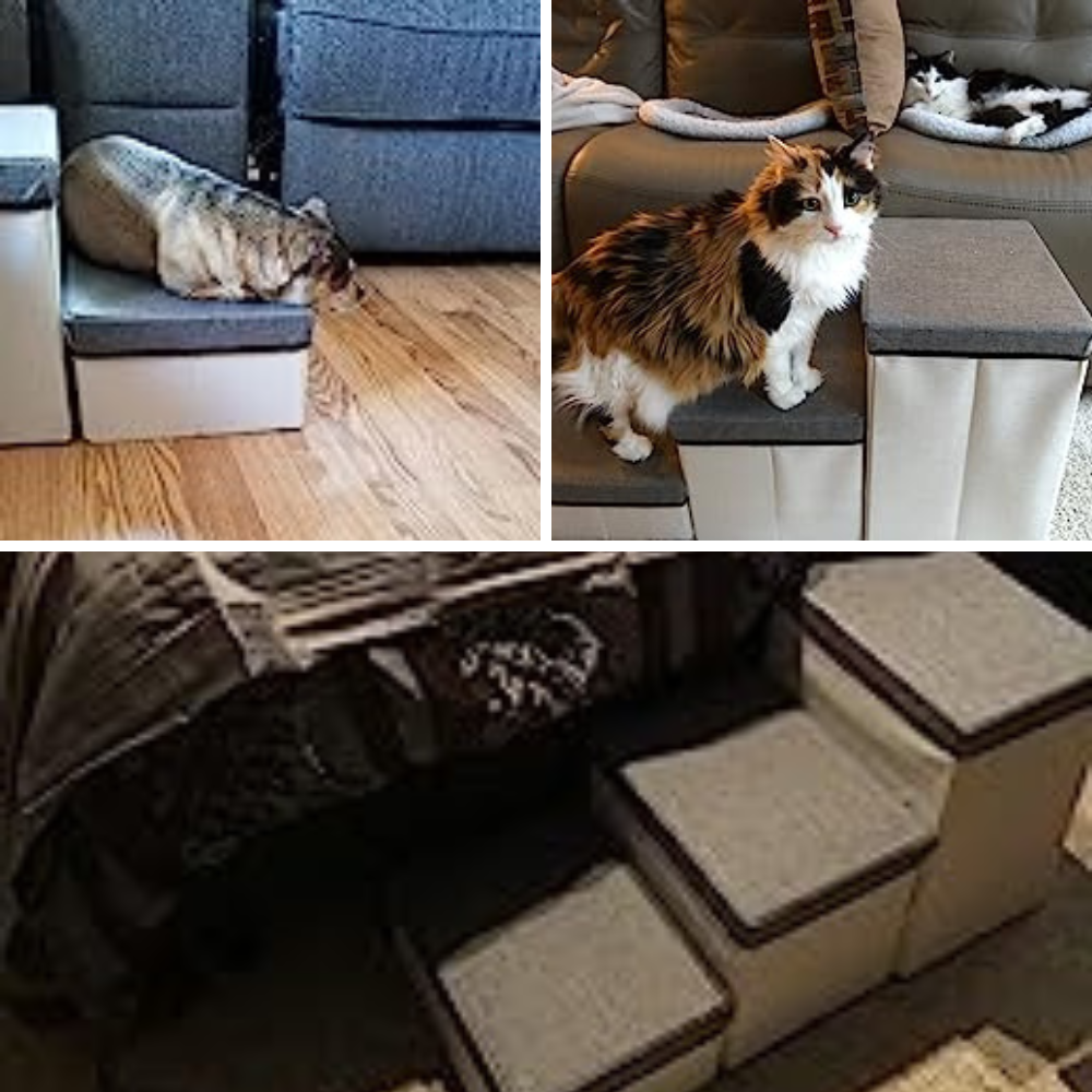 Unpacking the Top 5 Pet Stairs with Storage: A Purrfect Pick for Your Furry Friend!