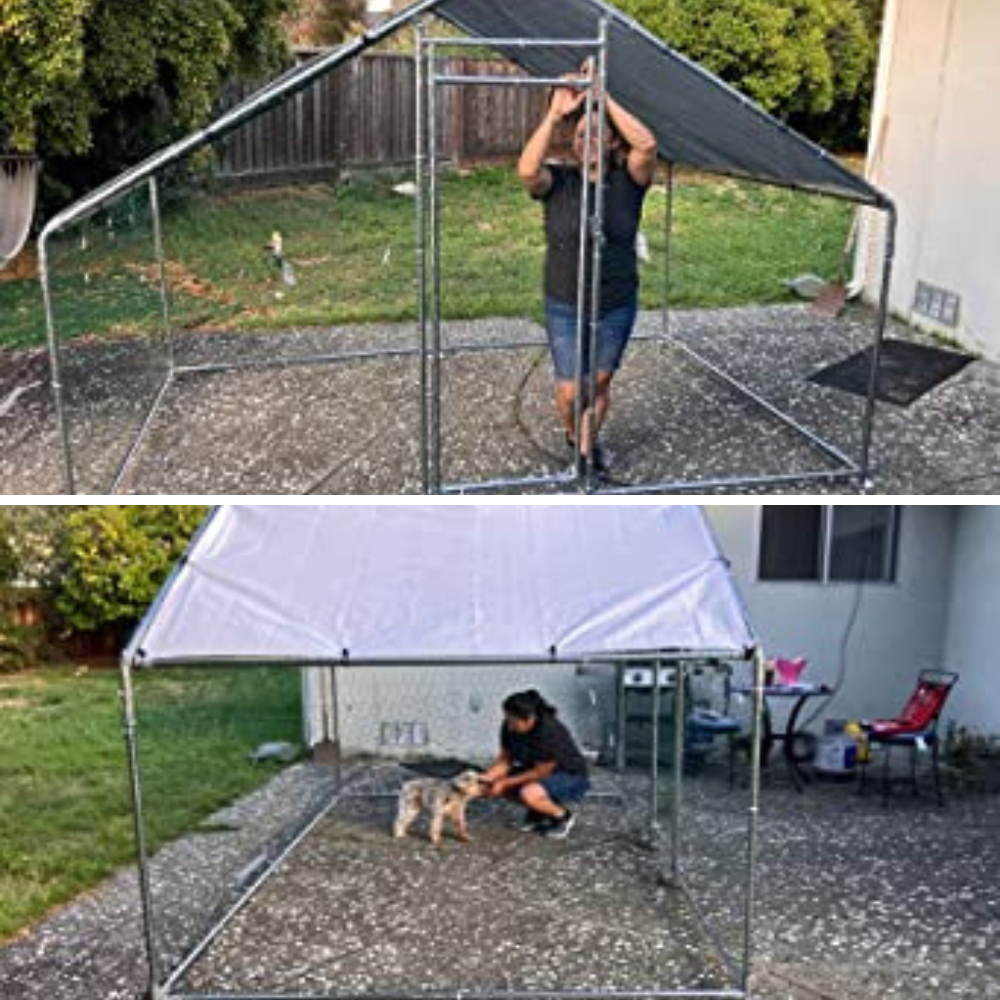 4 Outdoor Dog Kennels Tested: Which One Will Provide Your Pooch With Secure Space?