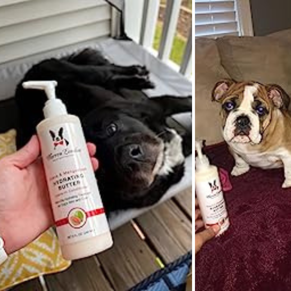 5 Best Pet Leave-in Conditioners: Keep Your Furball's Coat Shiny and Soft!