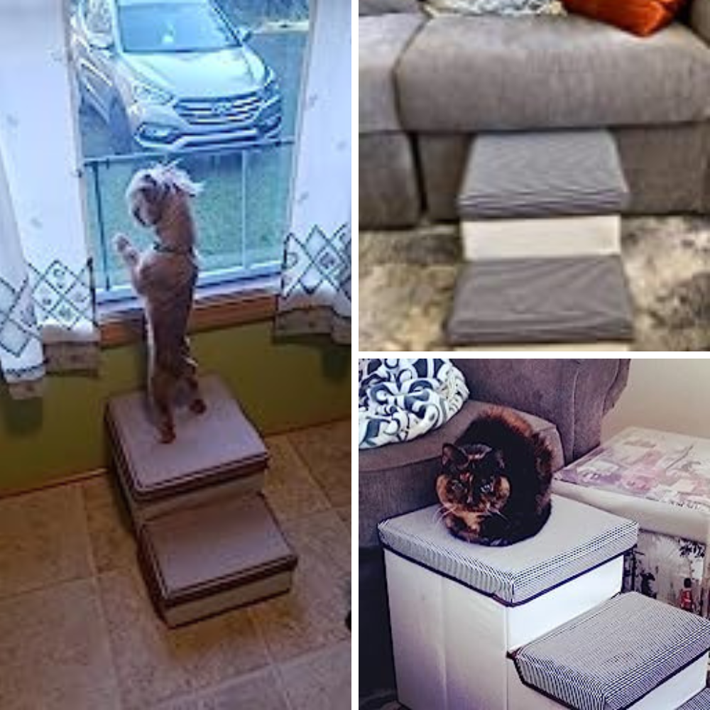 Unpacking the Top 5 Pet Stairs with Storage: A Purrfect Pick for Your Furry Friend!
