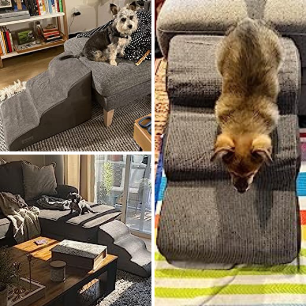 Best 5 Pet Stairs That Will Give Small Dogs a Leg Up!