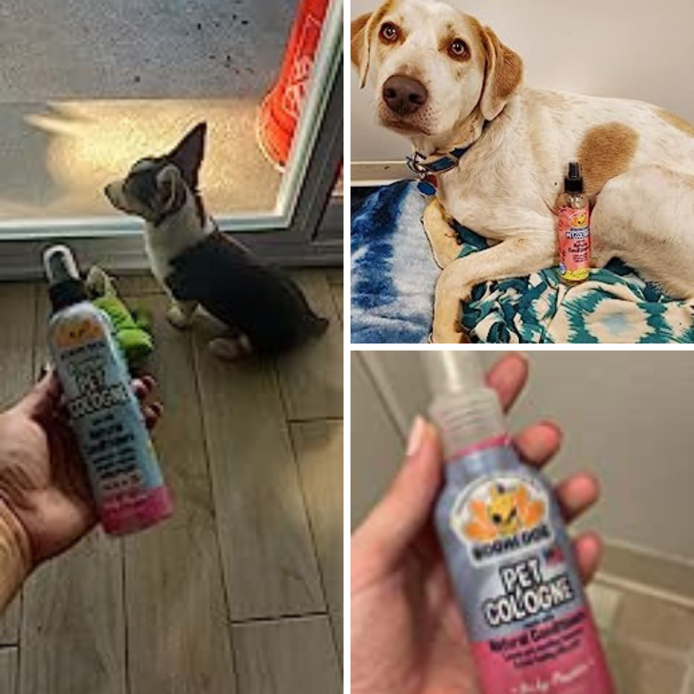 5 Doggy Delights: Sniff Out the Best Cologne for Grooming Your Pooch!