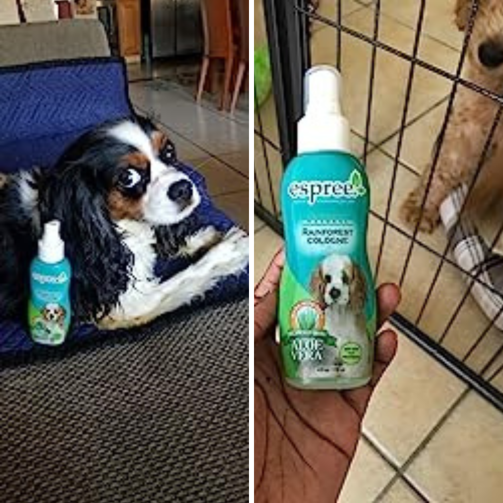 5 Doggy Delights: Sniff Out the Best Cologne for Grooming Your Pooch!