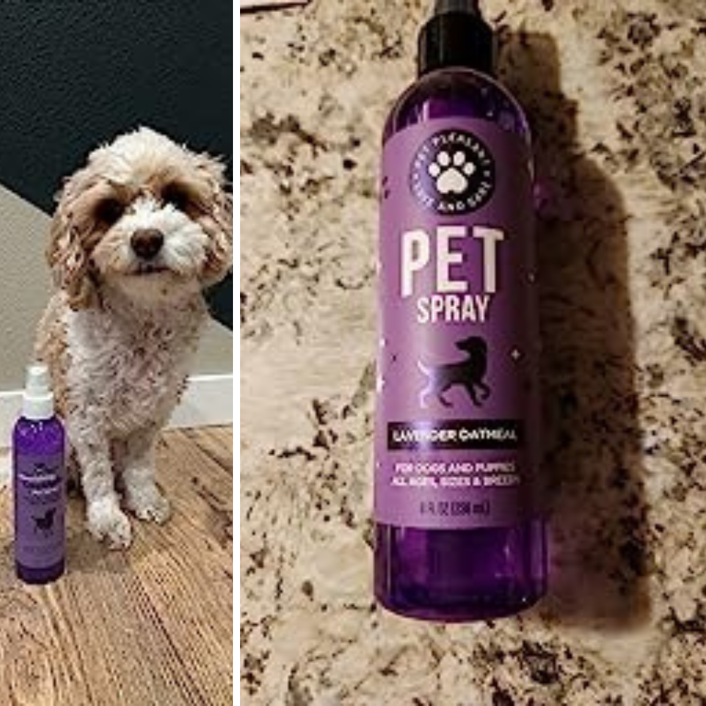 5 Doggy Delights: Sniff Out the Best Cologne for Grooming Your Pooch!