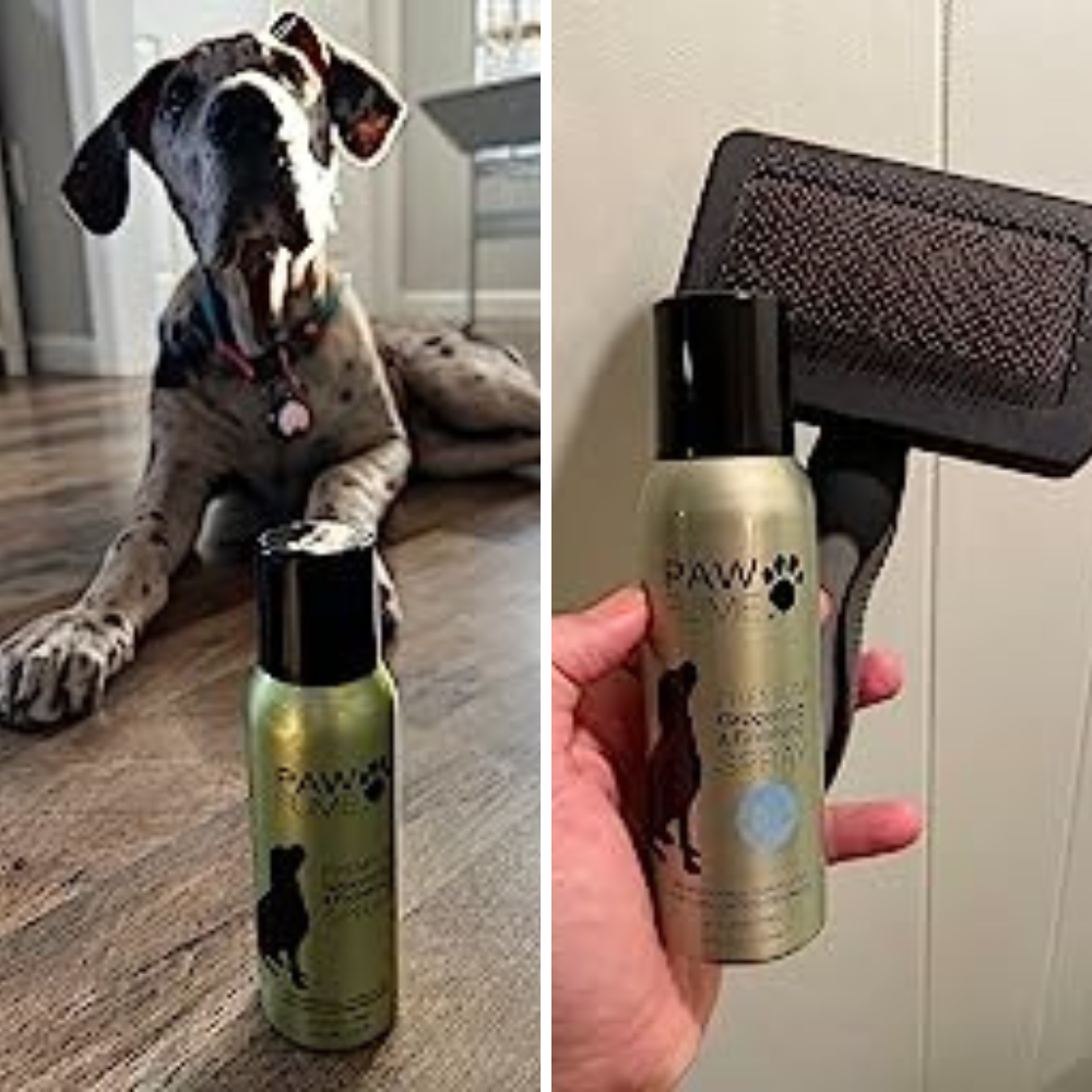 5 Doggy Delights: Sniff Out the Best Cologne for Grooming Your Pooch!