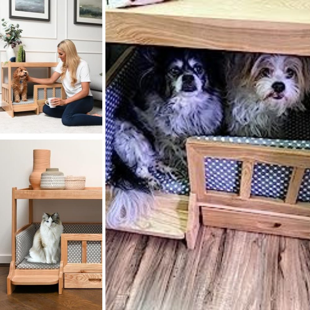 Snoozing in Style: Our Top 5 Picks for Furniture-Style Dog Crates!