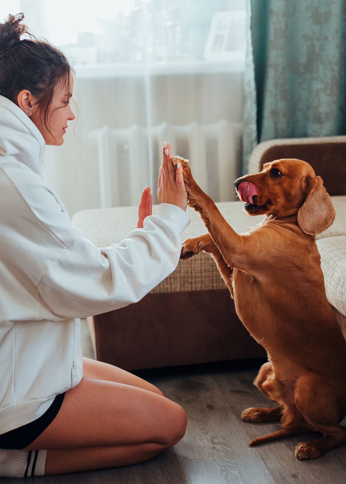 Why Pee Pads Are a Must-Have for New Puppy Parents!