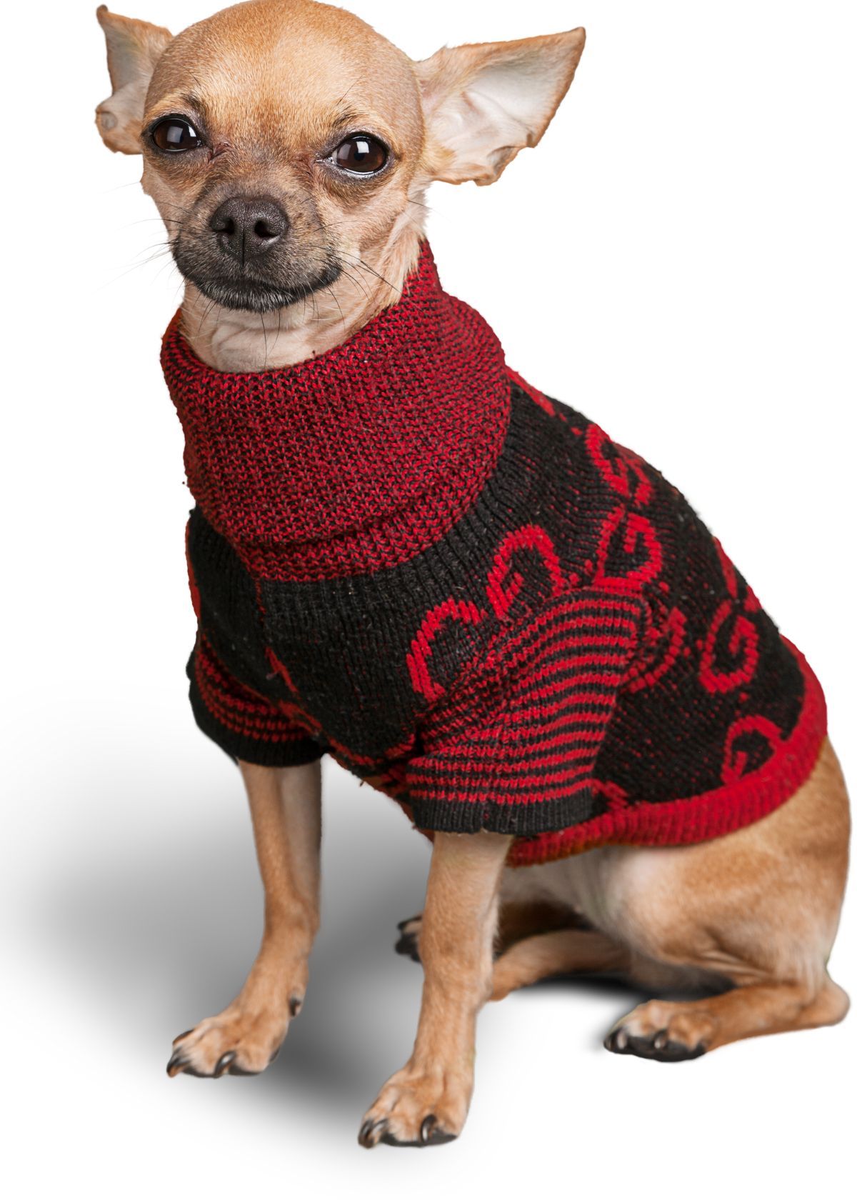 Best Dog Sweater