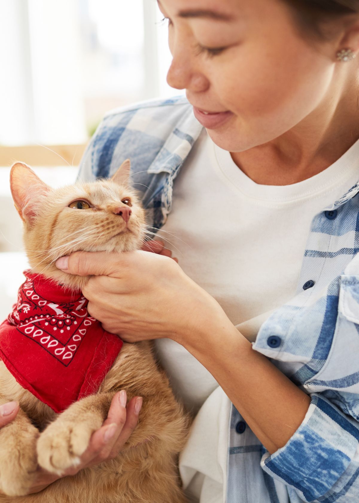 The Purr-fect Accessory for Your Cat: A Bandana Collar!