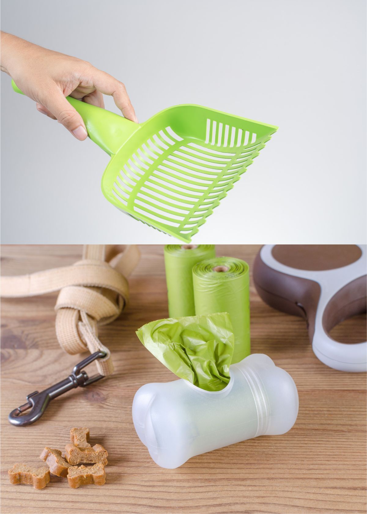 How to Keep Your Home Smelling Fresh with the Right Cat Scooper!