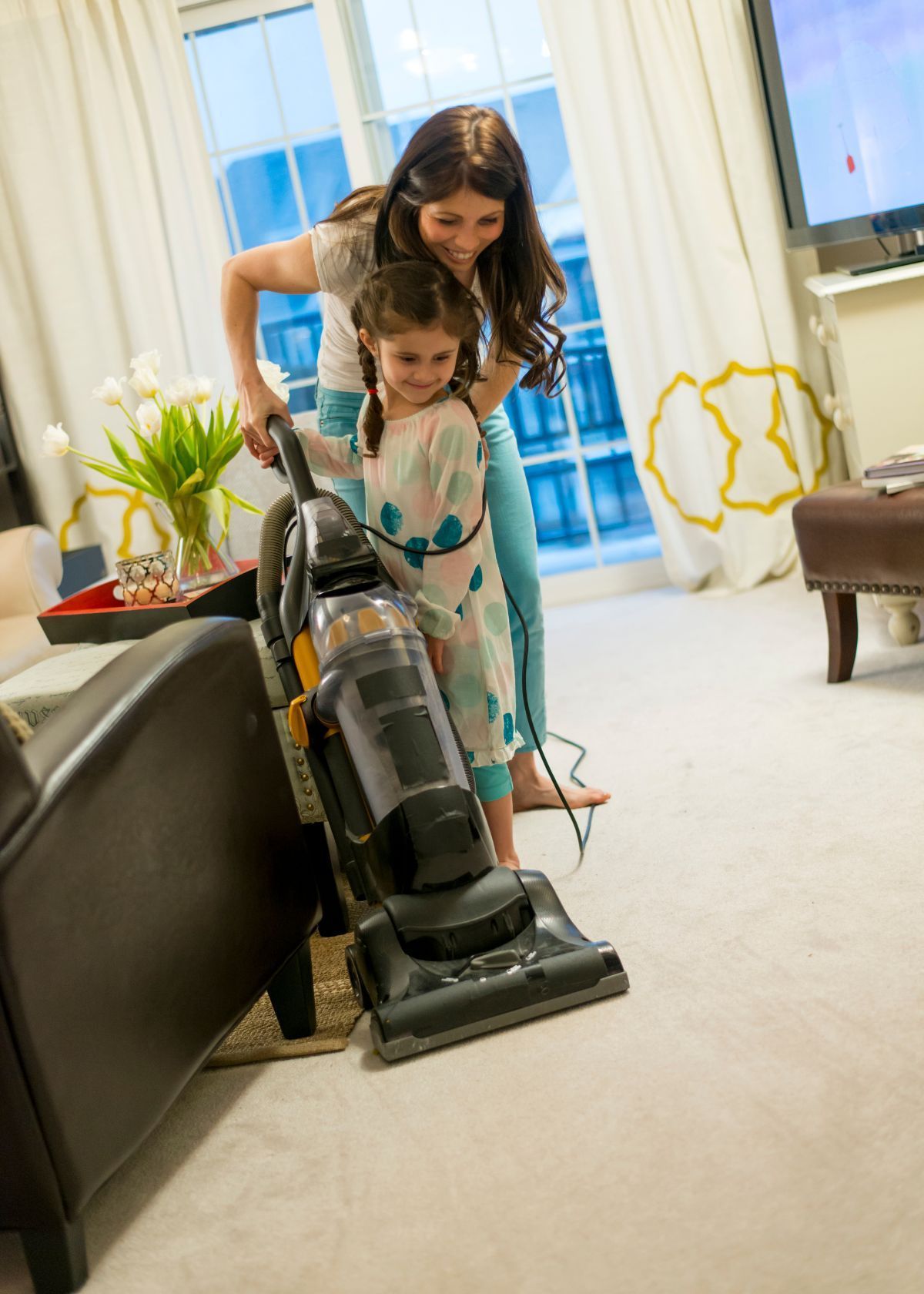 Goodbye Cat Litter, Hello Vacuum!