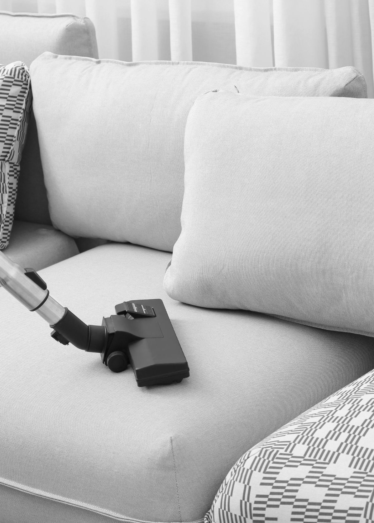 Best Cat Litter Vacuums