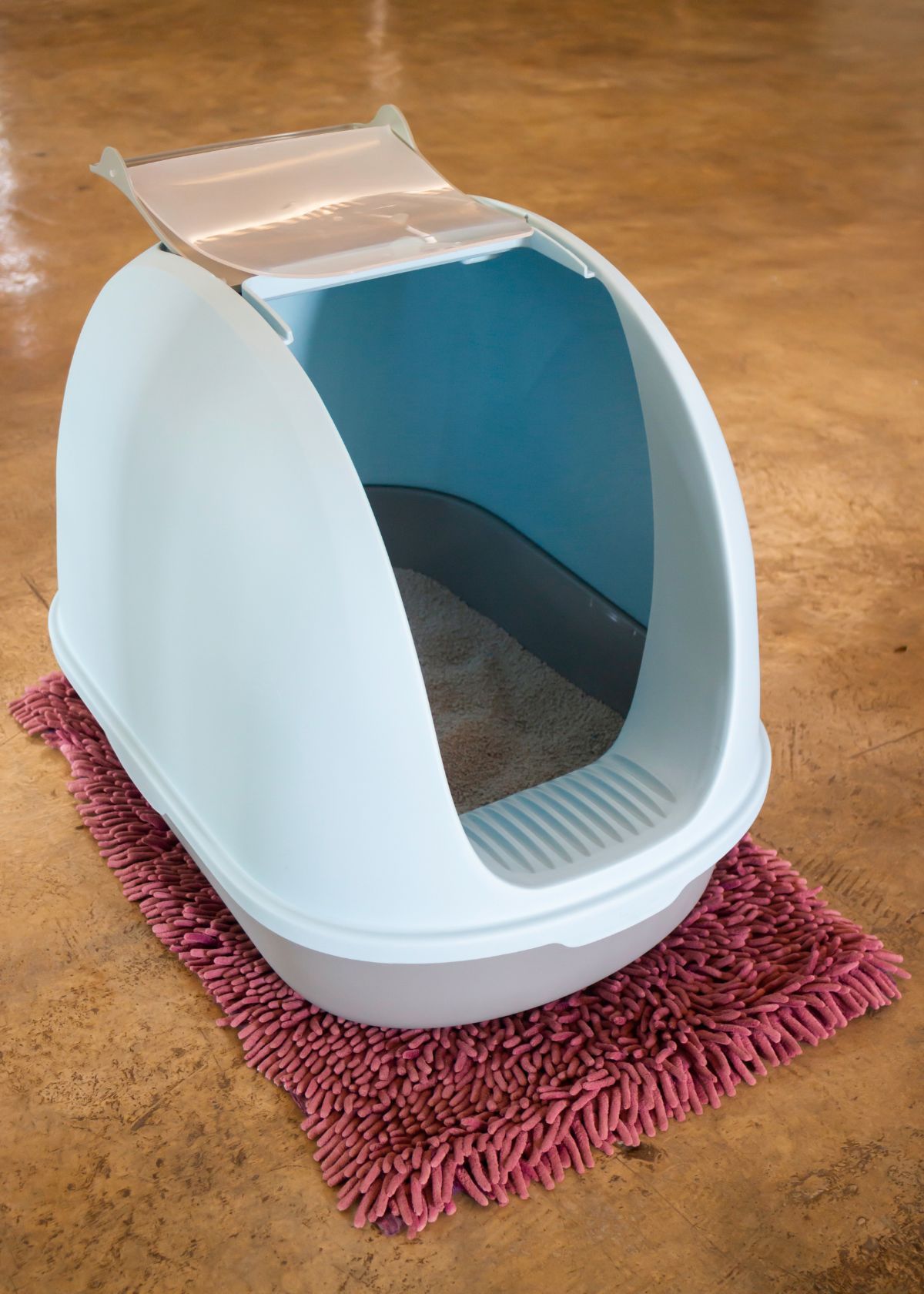 Why You Should Buy One of the Best Litter Boxes for Cat Carriers Today!