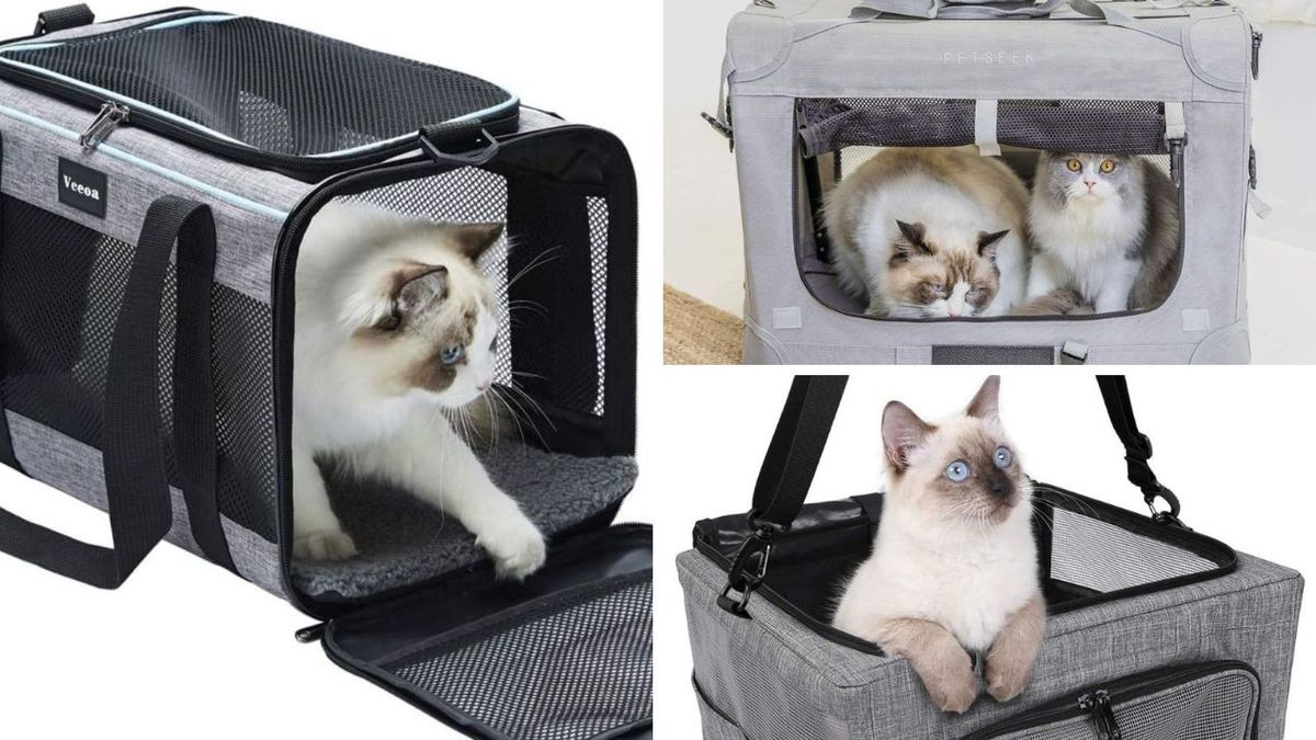 Best Cat Car Seat Carrier