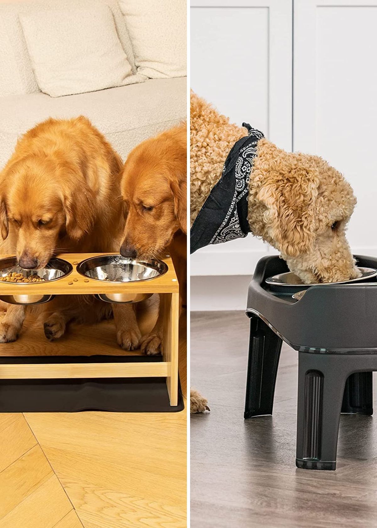 Elevated Dog Bowls