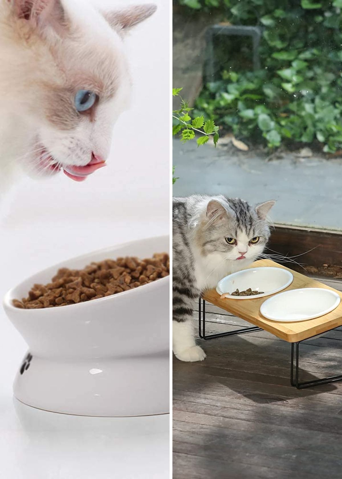 Tilted Cat Food Bowl