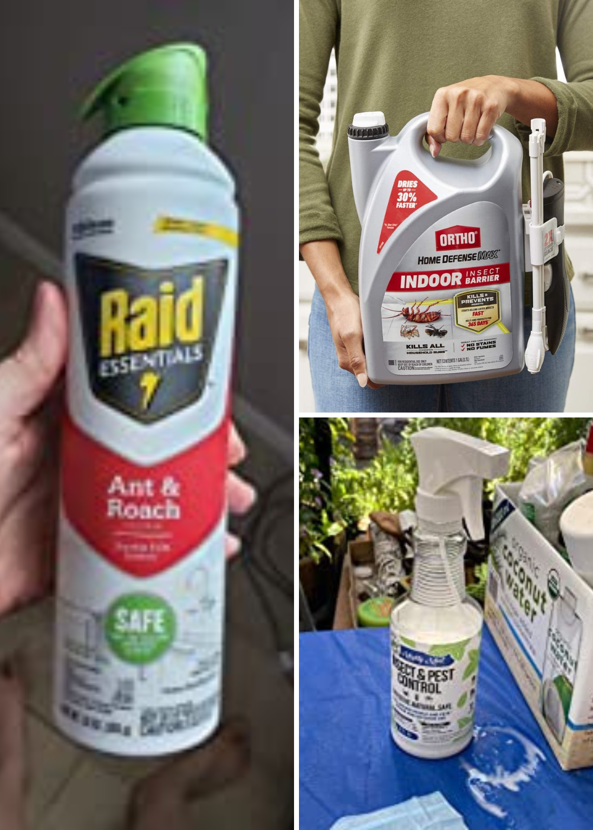 Best Ant Killer Safe For Pets