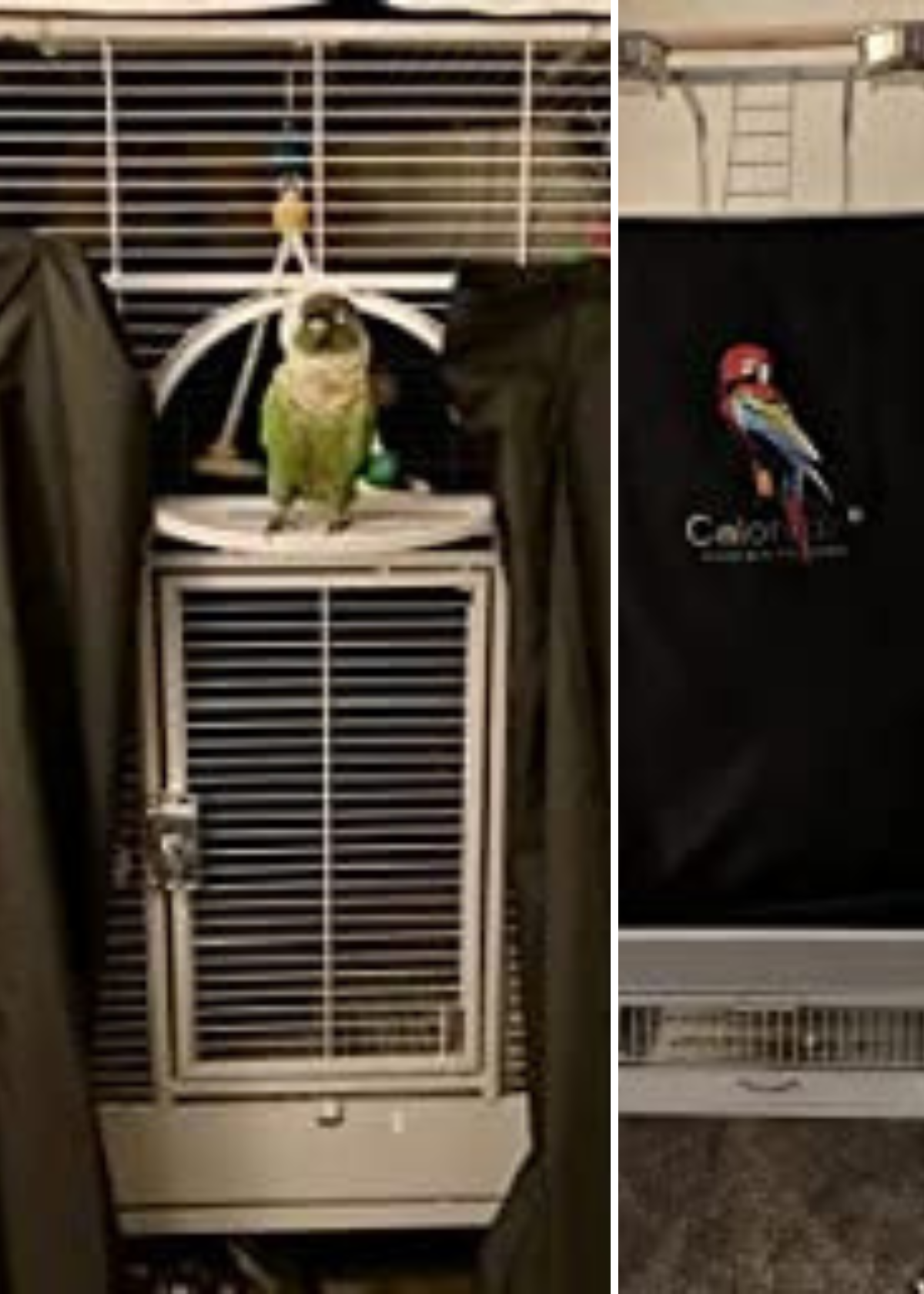 Best Bird Cage Cover