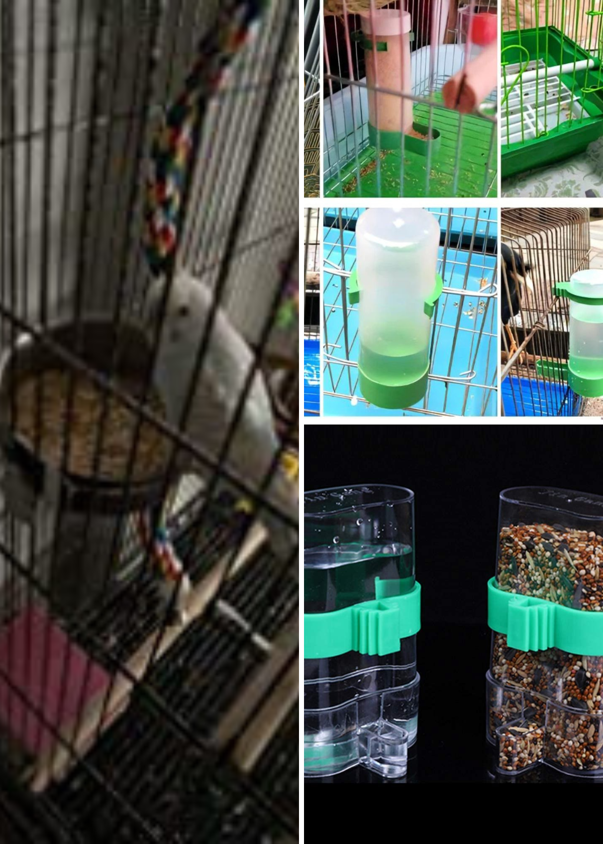 Best Bird Cage Feeders