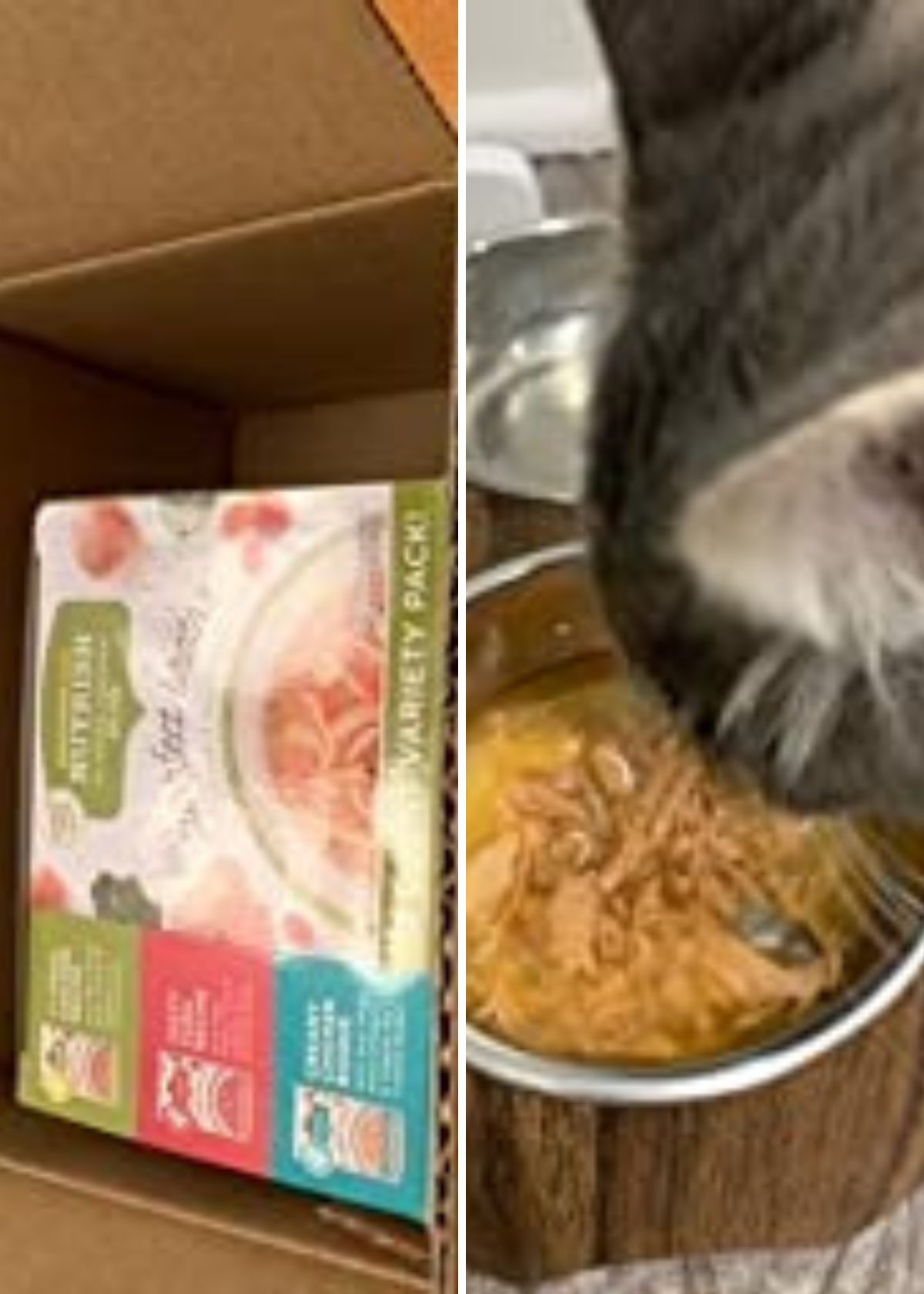 A Feline Frenzy: 5 Cat Food Broths Put to the Taste Test!