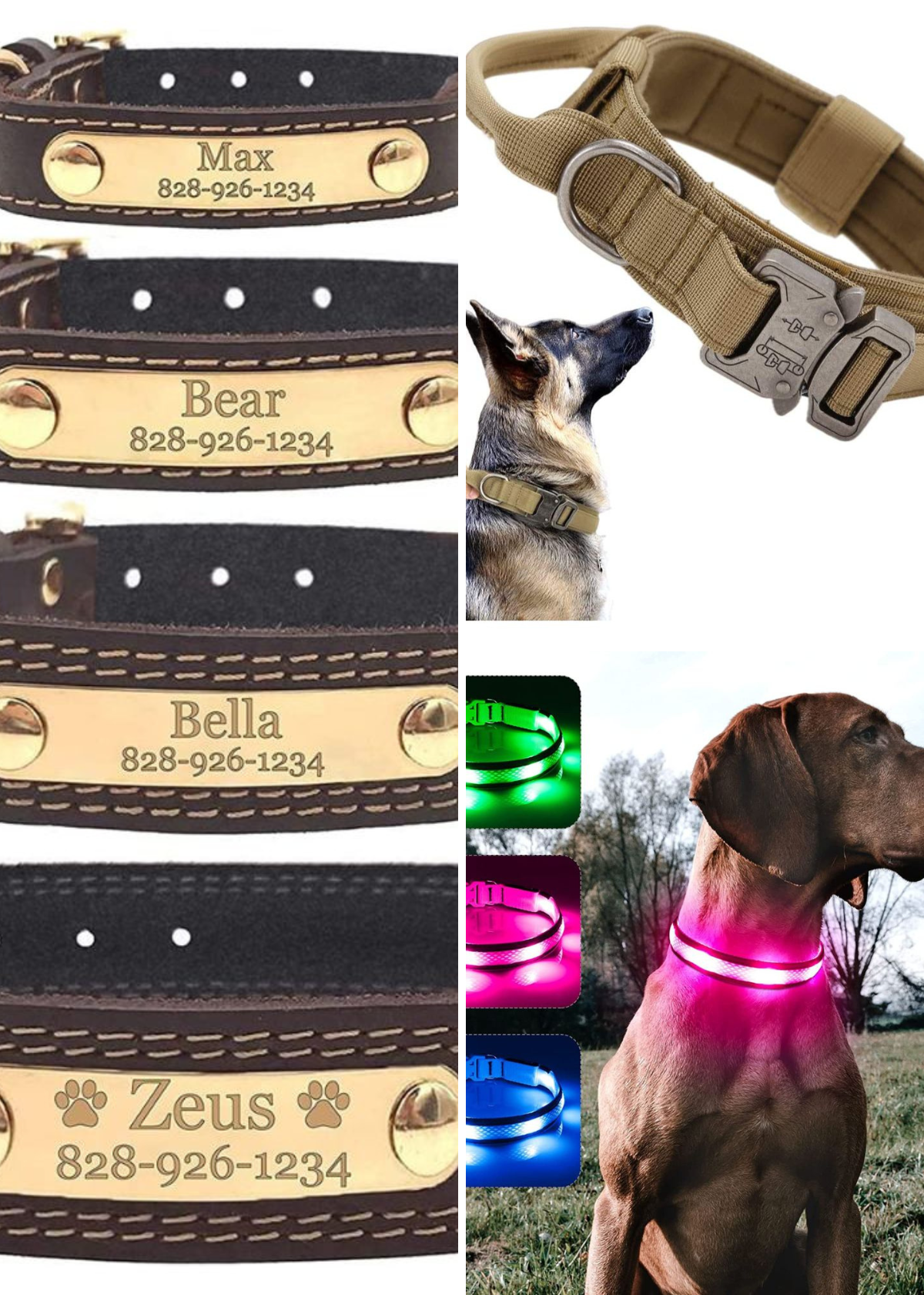 Best Dog Collars
