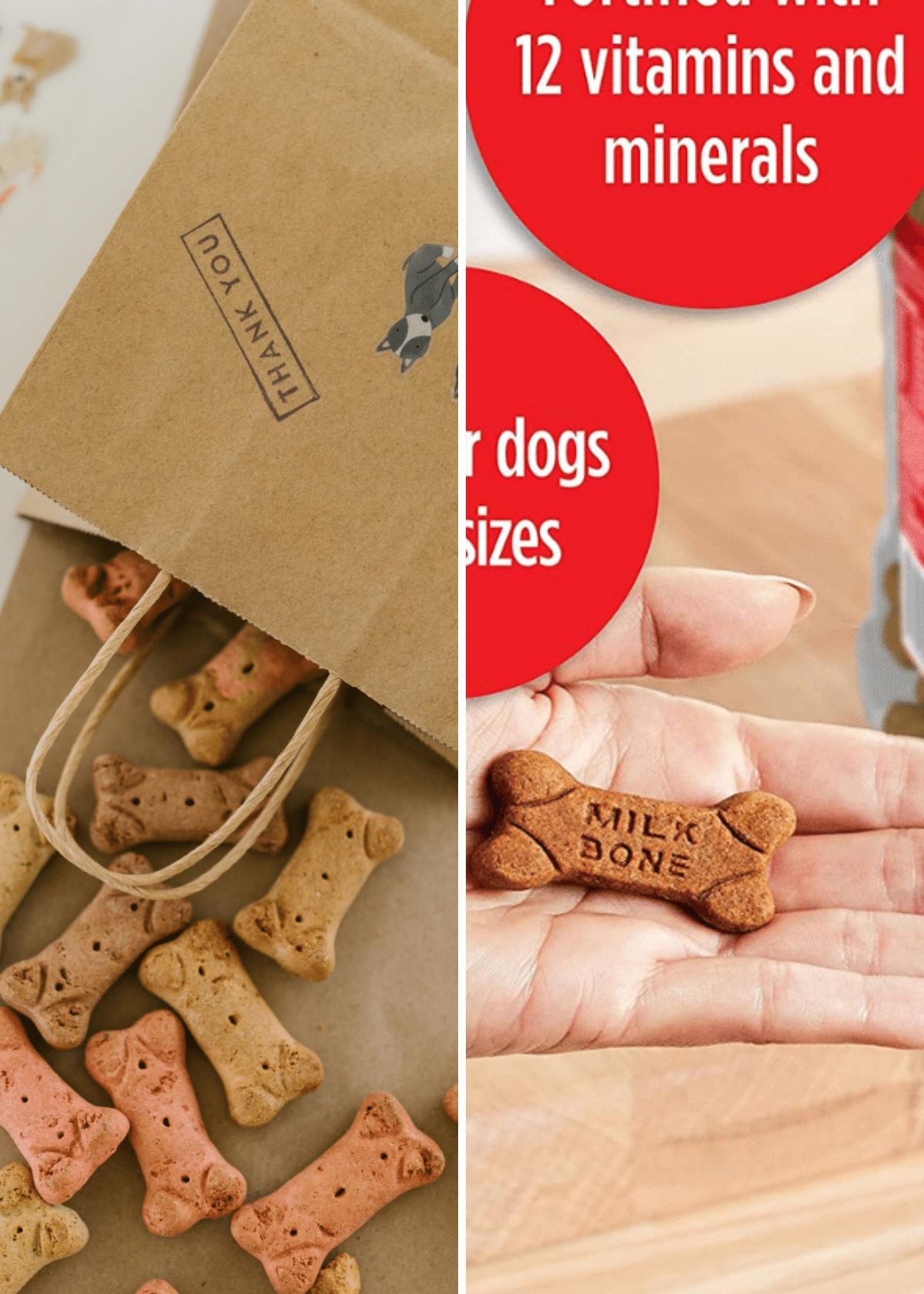 Best Dog Treats