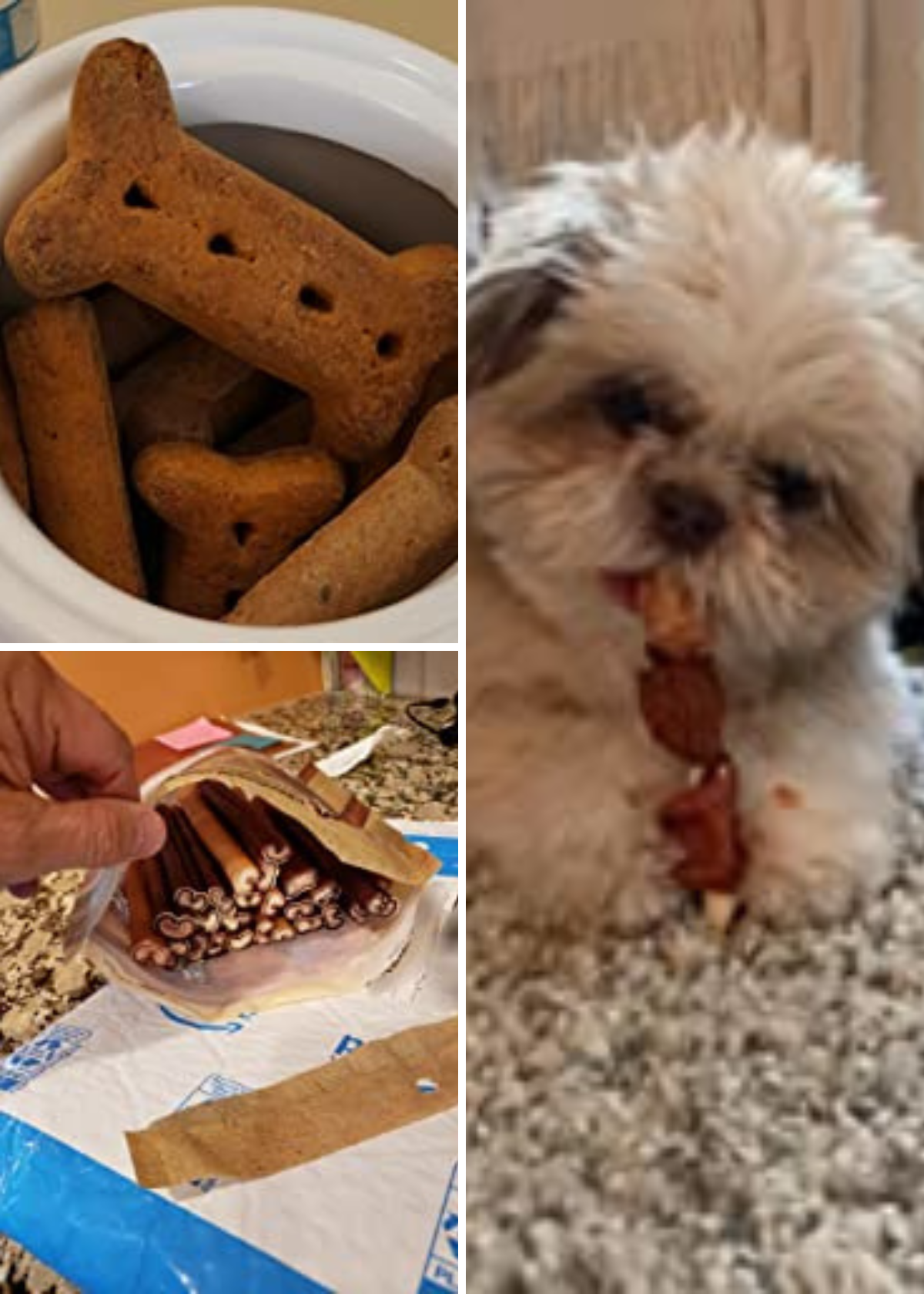 Best Dog Treats For Pitbulls