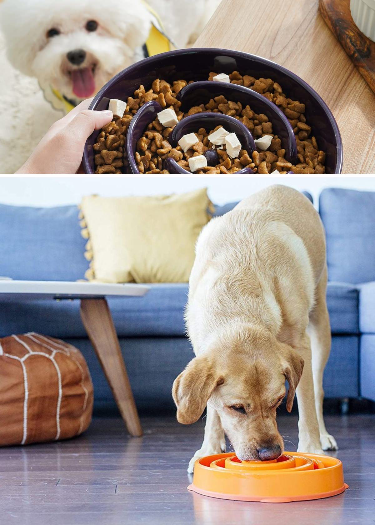 Best Slow Feeder Dog Bowl