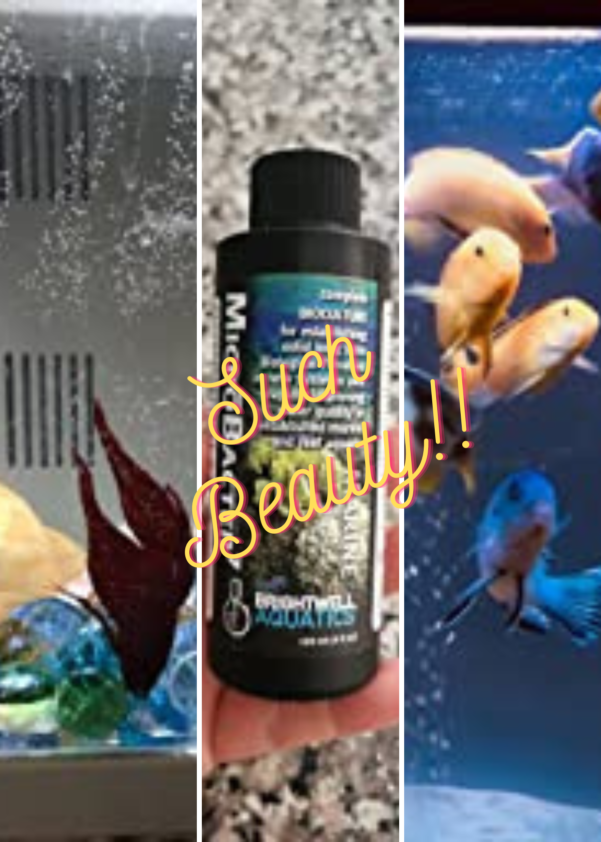 Best Aquarium Water Conditioner For Freshwater