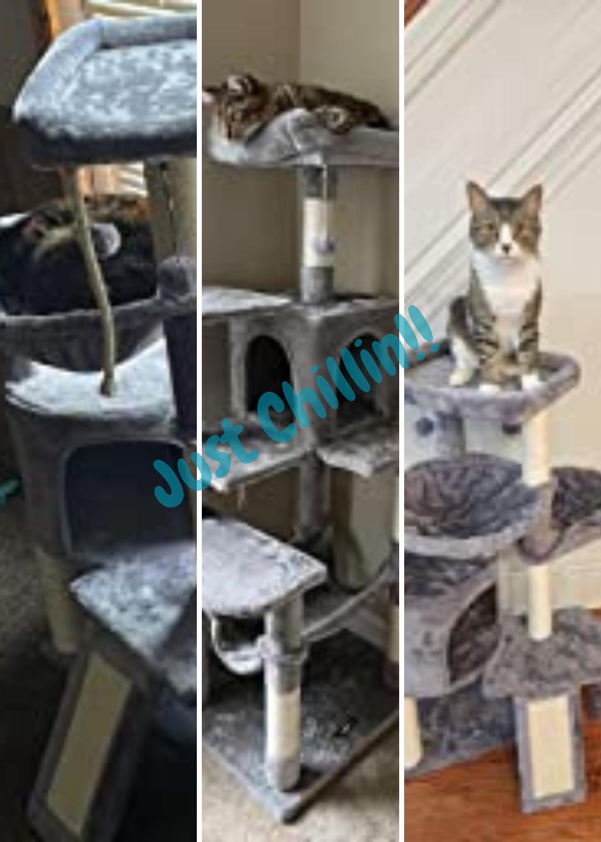 best cat tower for indoor cats
