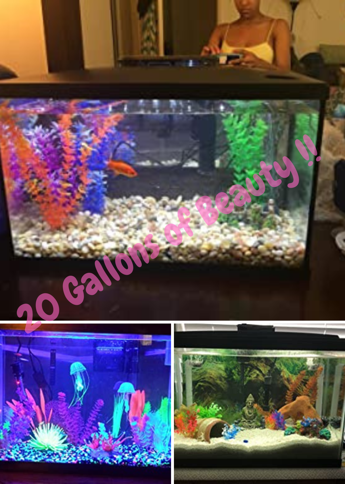 Fish Tank & Aquarium 20 Gallon