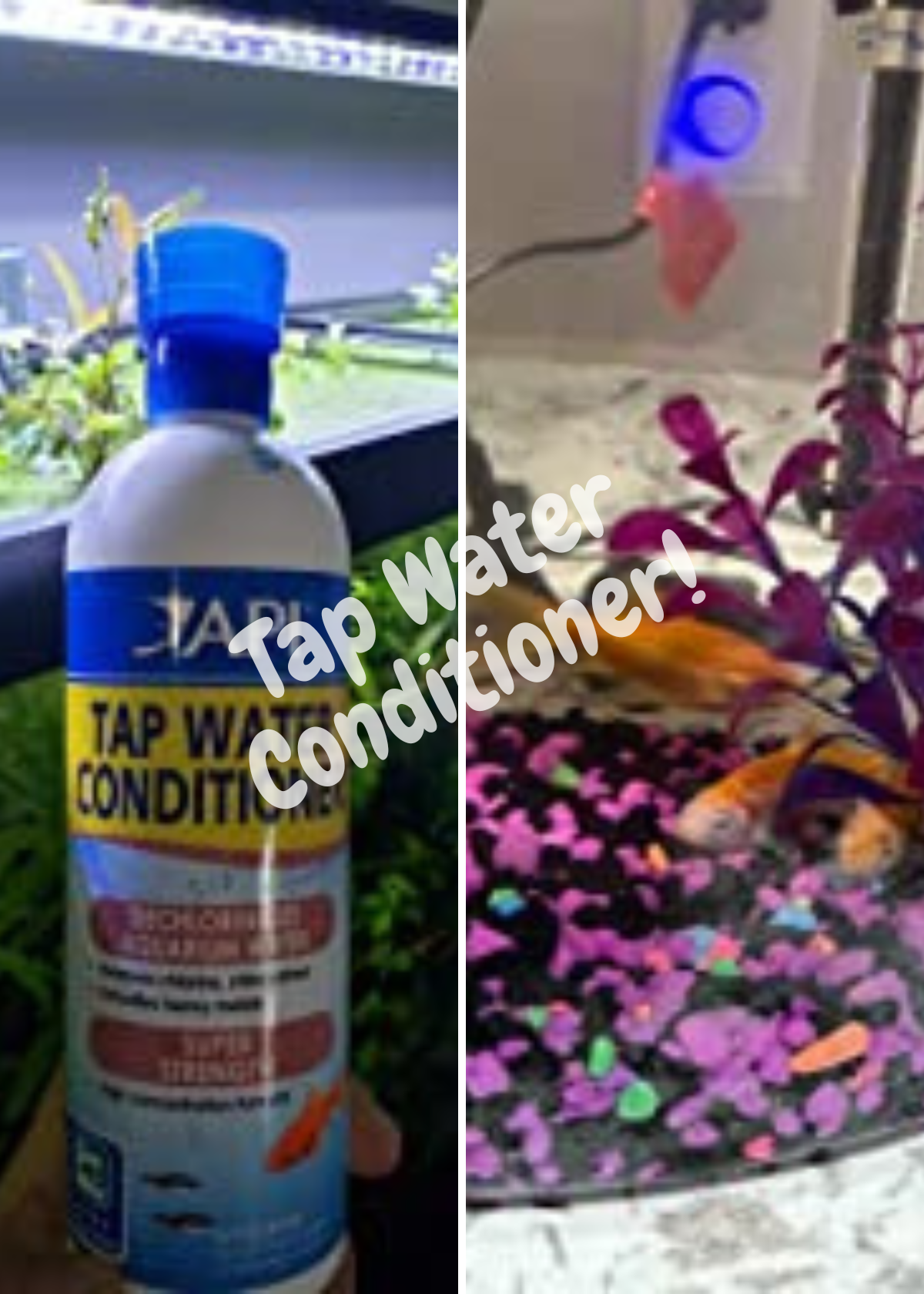 Aquarium Water Conditioners for Tap Water