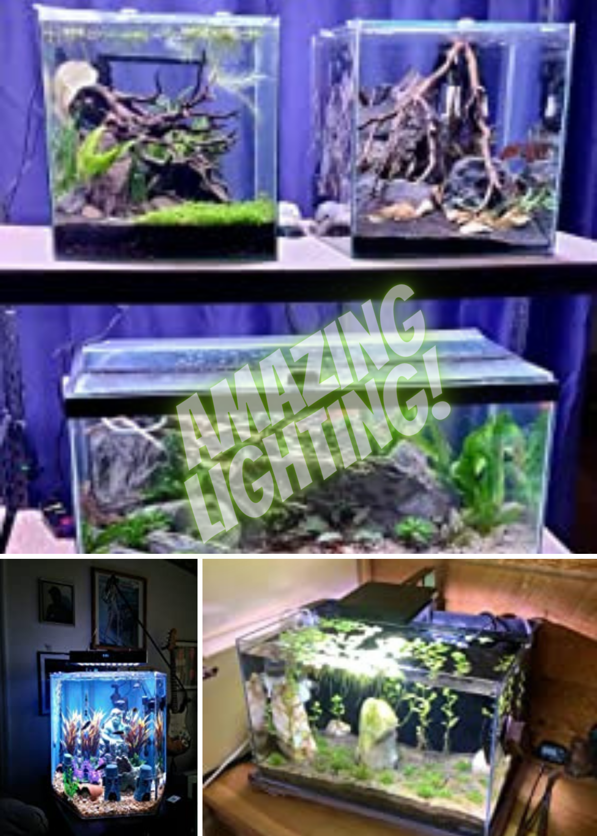 Best Aquarium Lightings