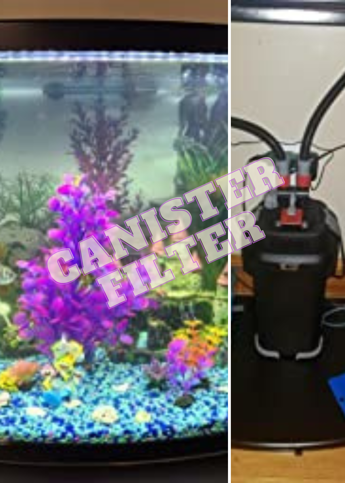 Best Canister Filter For Aquariums