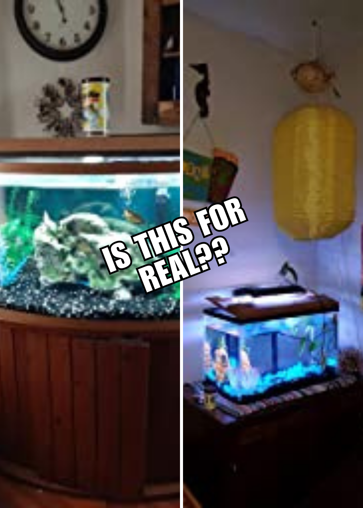 best fish aquarium filters