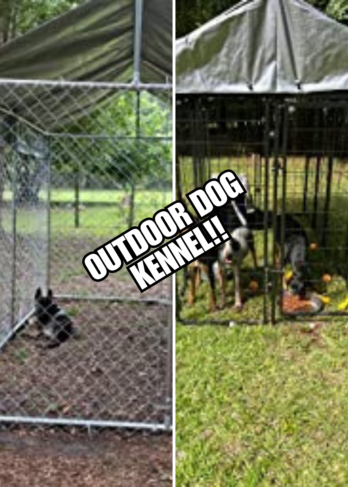 Best Outdoor Dog Kennels